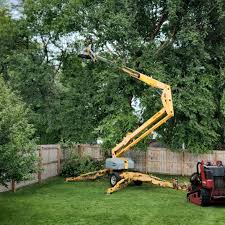 Best Lawn Grading and Leveling  in Glen Gardner, NJ