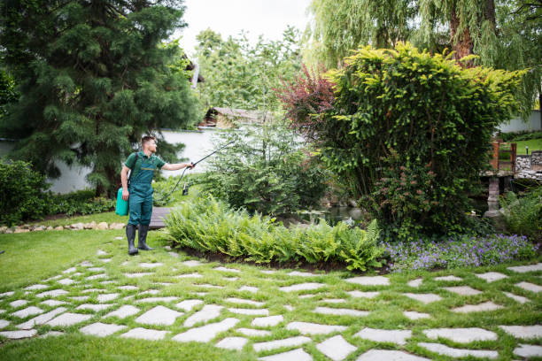Best Lawn Mowing  in Glen Gardner, NJ