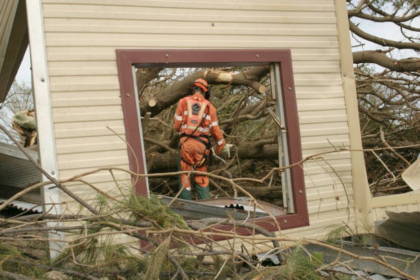 How Our Tree Care Process Works  in  Glen Gardner, NJ