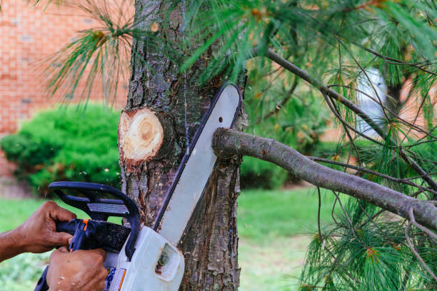 Best Utility Line Clearance  in Glen Gardner, NJ